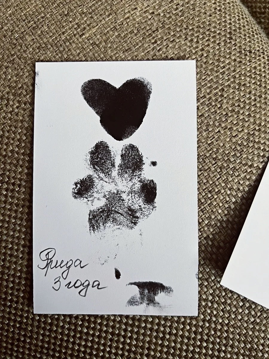 Paw Print Keepsake Frame Set | Baby & Pet Memory Gift